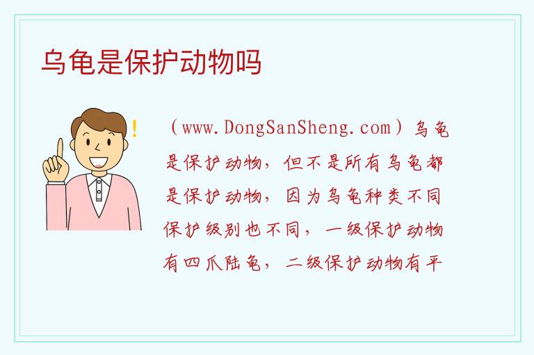 乌龟是保护动物吗 