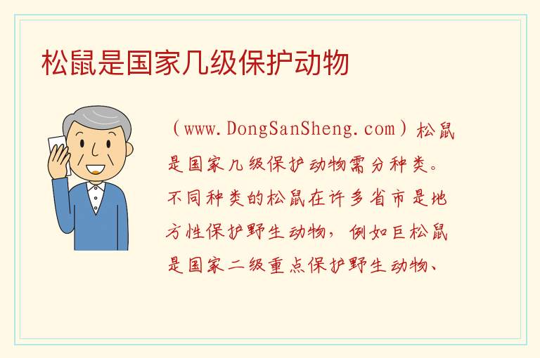 松鼠是国家几级保护动物 