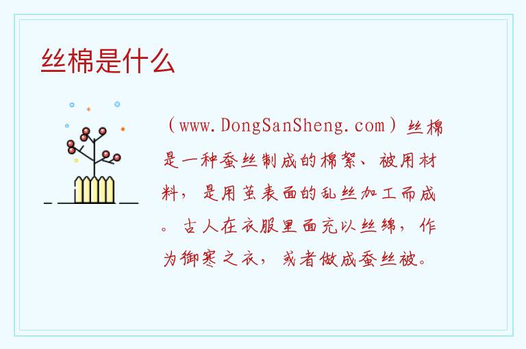 丝棉是什么 