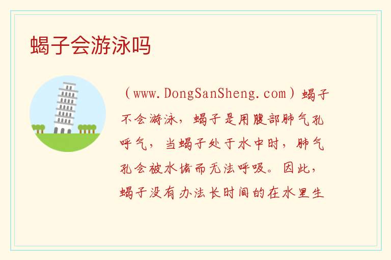 蝎子会游泳吗 