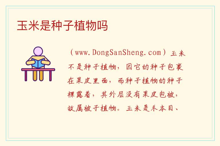 玉米是种子植物吗 玉米品种前十名名单