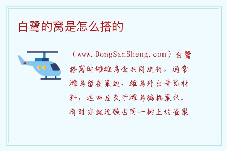白鹭的窝是怎么搭的 