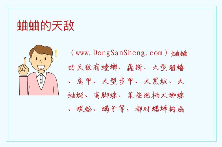 蛐蛐的天敌 