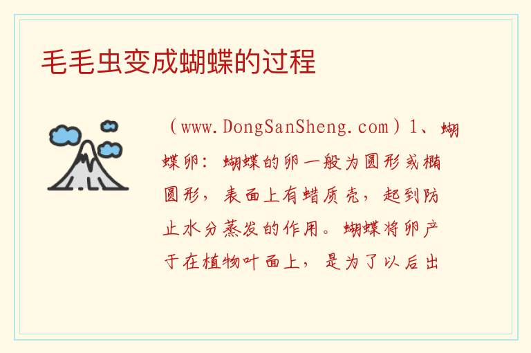 毛毛虫变成蝴蝶的过程 