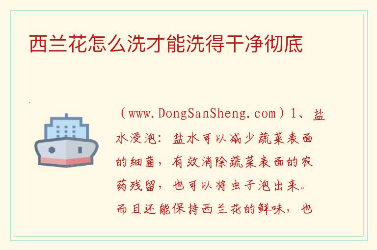 西兰花怎么洗才能洗得干净彻底 