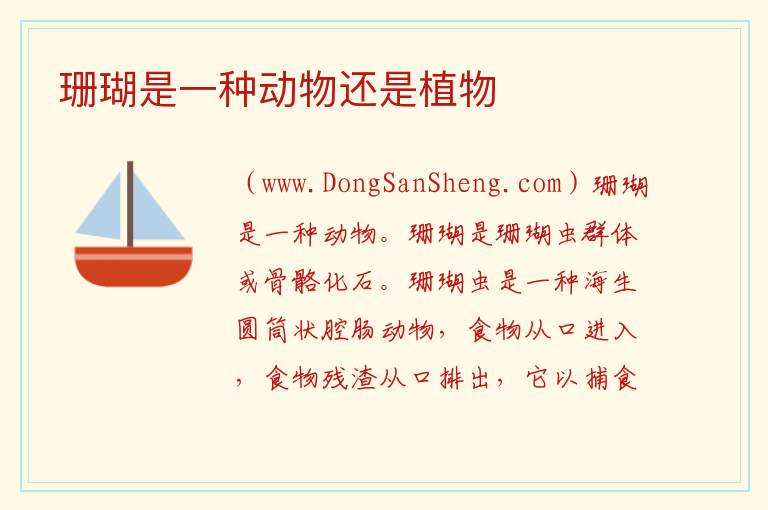 珊瑚是一种动物还是植物 