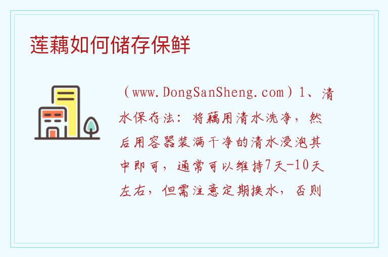 莲藕如何储存保鲜 