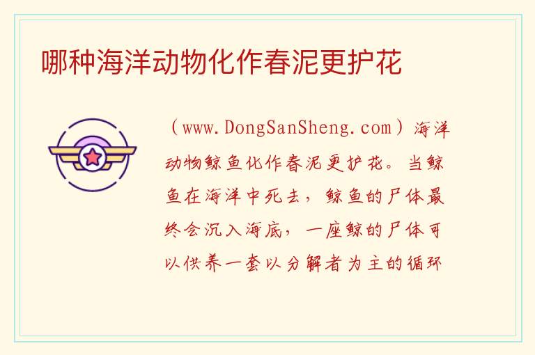 哪种海洋动物化作春泥更护花 