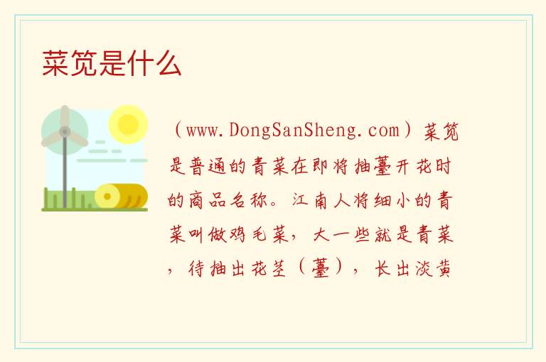 菜笕是什么 