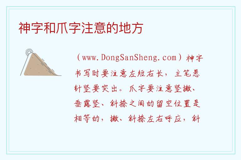 神字和爪字注意的地方 