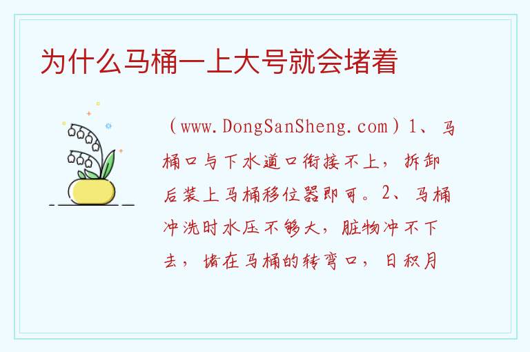 为什么马桶一上大号就会堵着 