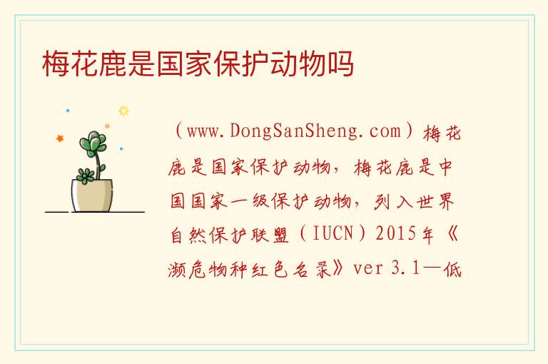 梅花鹿是国家保护动物吗 