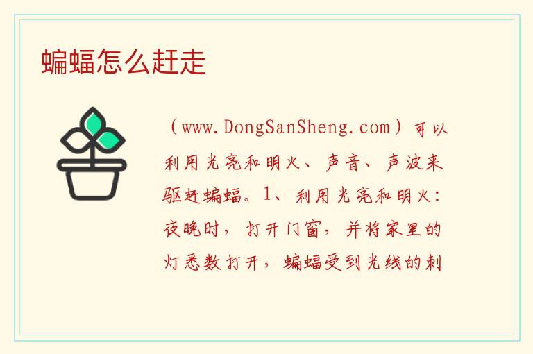 蝙蝠怎么赶走 