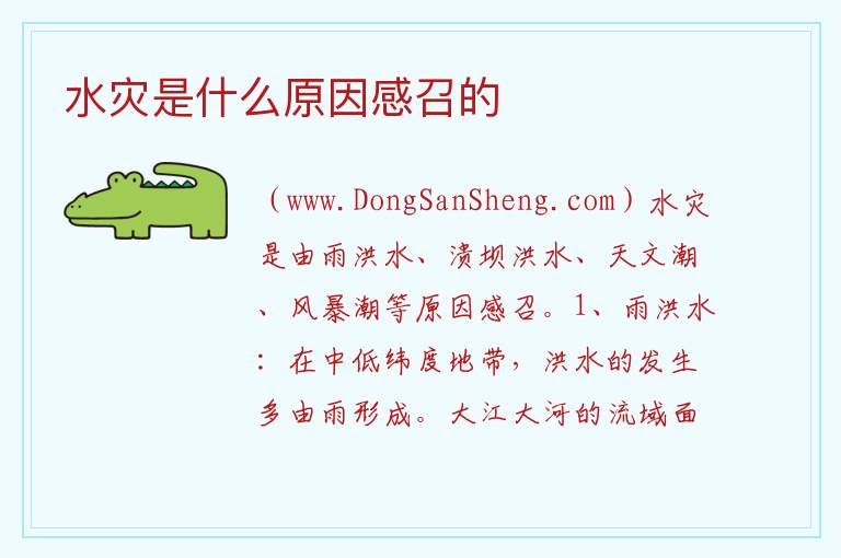 水灾是什么原因感召的 