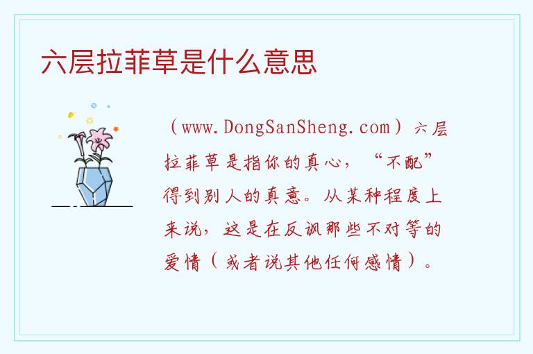 六层拉菲草是什么意思 