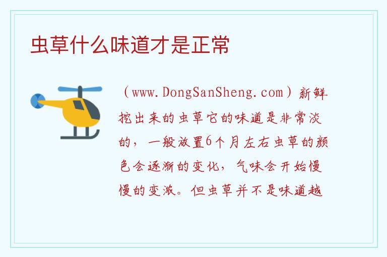 虫草什么味道才是正常 