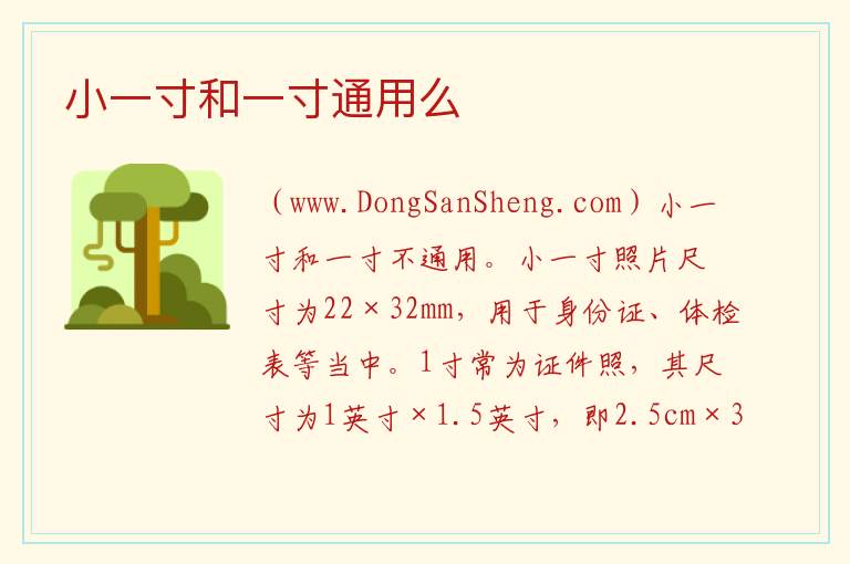 小一寸和一寸通用么 小一寸照片像素