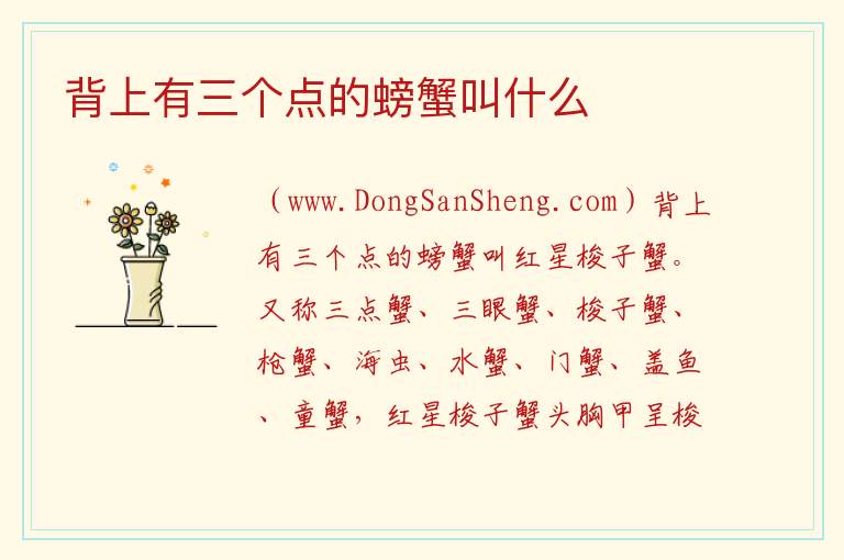 背上有三个点的螃蟹叫什么 