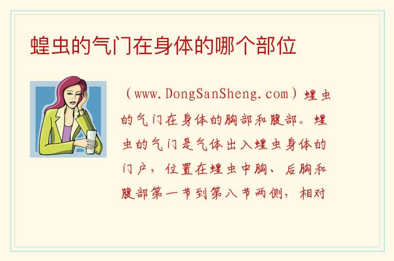 蝗虫的气门在身体的哪个部位 