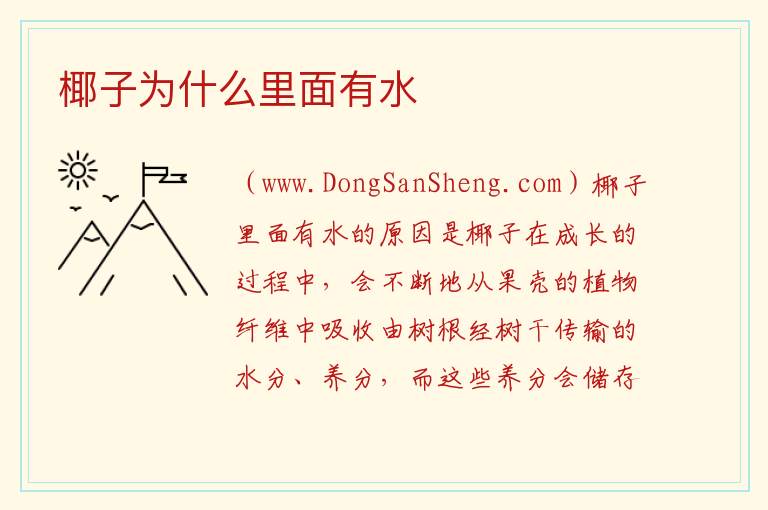 椰子为什么里面有水 