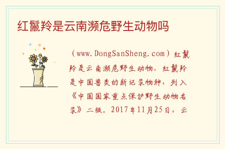 红鬣羚是云南濒危野生动物吗 