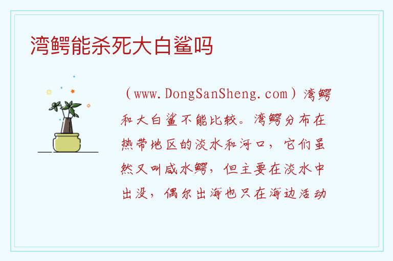湾鳄能杀死大白鲨吗 