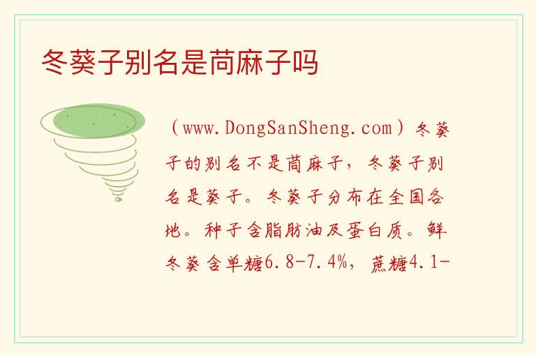 茼麻子和冬葵子一样吗，茼麻子和冬葵子一样吗