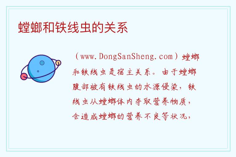 螳螂和铁线虫的关系 