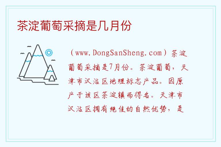茶淀葡萄采摘是几月份 