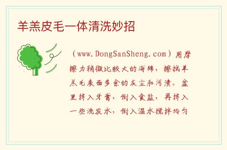 羊羔皮毛一体清洗妙招 