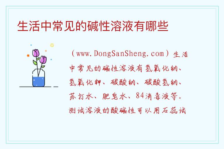 生活中常见的碱性溶液有哪些 