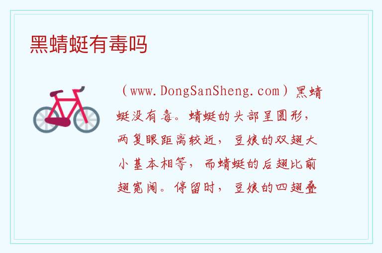 黑蜻蜓有毒吗 