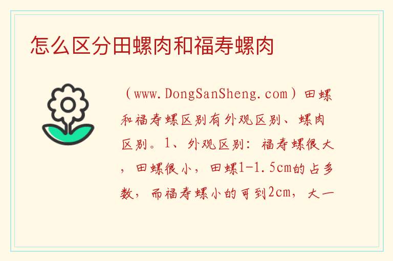 怎么区分田螺肉和福寿螺肉 