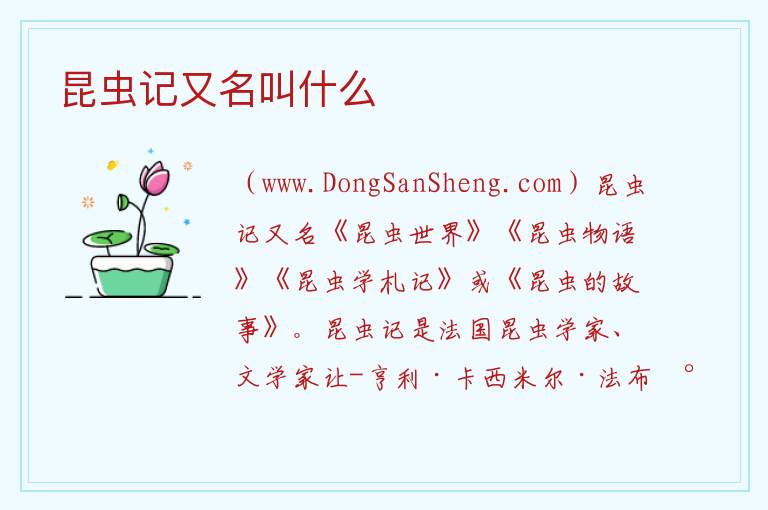 昆虫记又名叫什么 