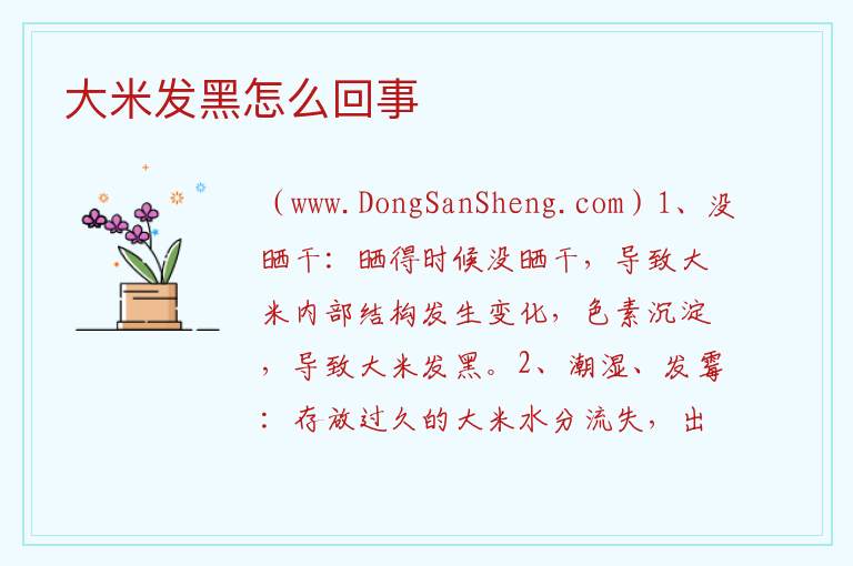 大米发黑怎么回事 