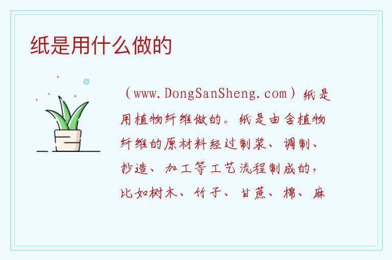 纸是用什么做的 
