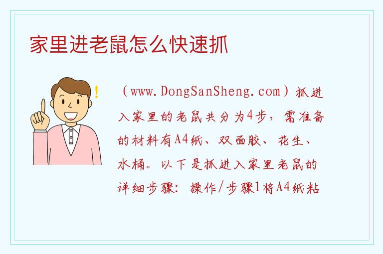 家里进老鼠怎么快速抓 
