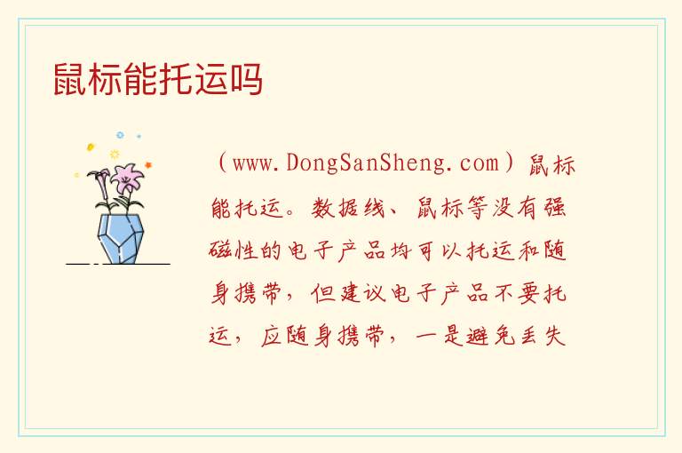 鼠标能托运吗 