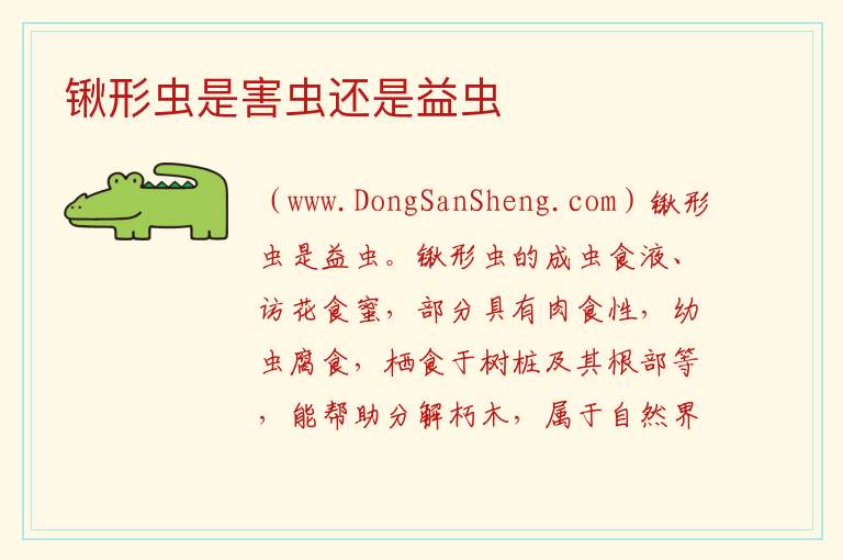 锹形虫是害虫还是益虫 