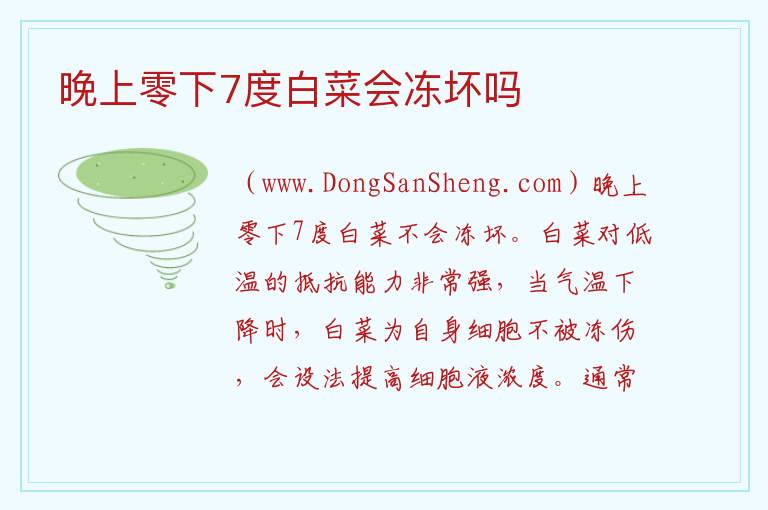 晚上零下7度白菜会冻坏吗 