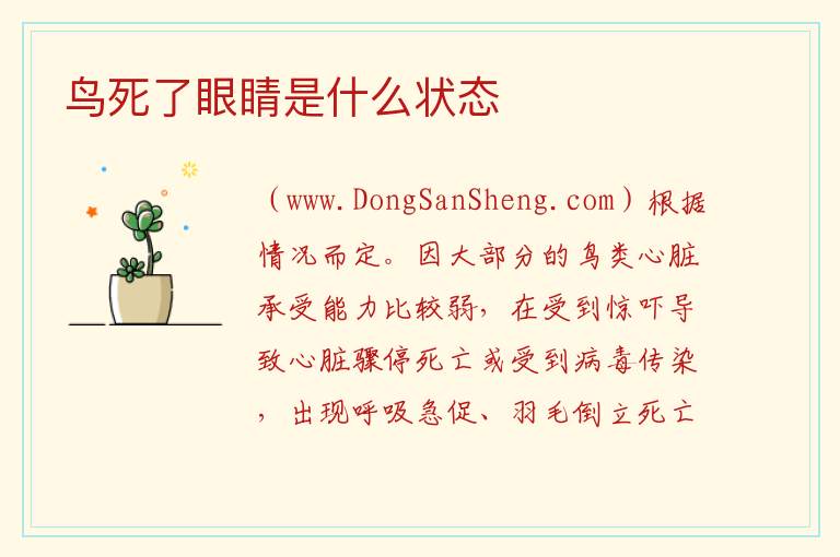鸟死了眼睛是什么状态 