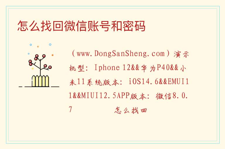怎么找回微信账号和密码 