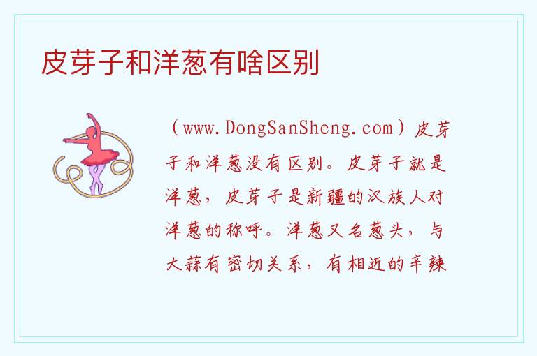 皮芽子和洋葱有啥区别 