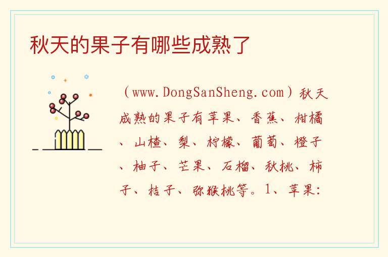 秋天的果子有哪些成熟了 