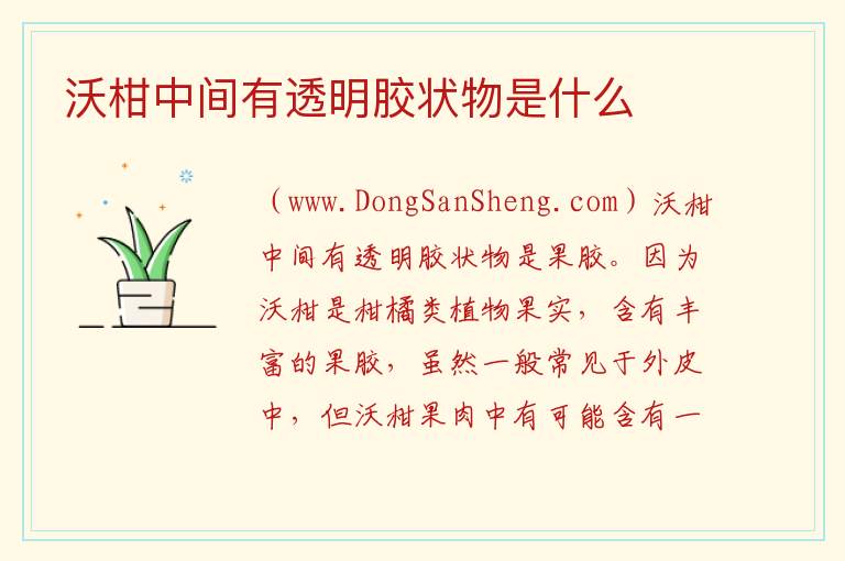 沃柑中间有透明胶状物是什么 
