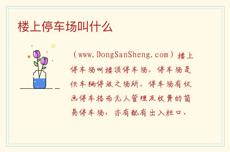 楼上停车场叫什么 