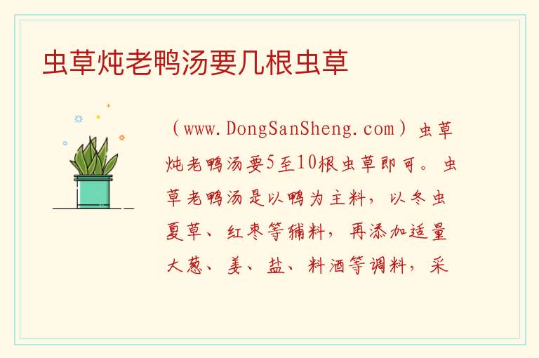 虫草炖老鸭汤要几根虫草 
