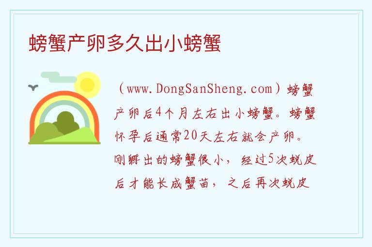 螃蟹产卵多久出小螃蟹 