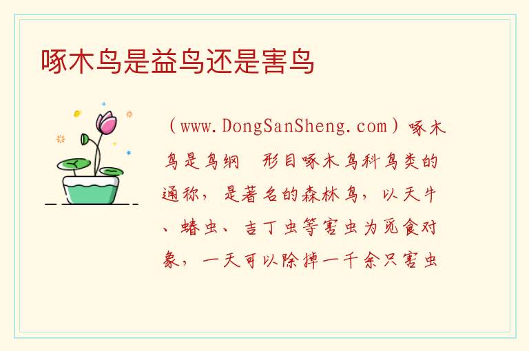 啄木鸟是益鸟还是害鸟 