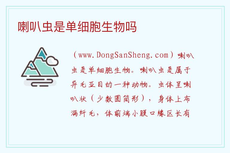 喇叭虫是单细胞生物吗 